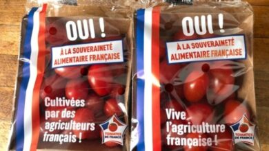 حرب-الطماطم-تشتعل-بفرنسا.-حملة-لمواجهة-المنافسة-المغربية-رغم-فارق-الأسعار