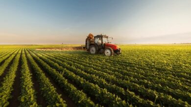 المغرب-ضمن-برنامج-أمريكي-بـ226-مليون-دولار-لدعم-القطاع-الفلاحي