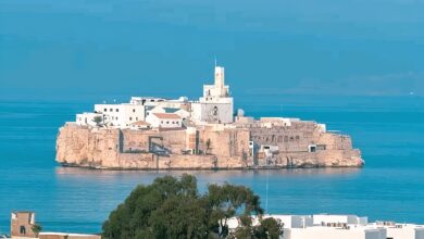 البحرية-الملكية-تحبط-محاولة-مهاجر-جزائري-السباحة-نحو-صخرة-النكور-بالحسيمة