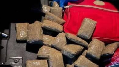 50-كيلوغراما-من-الشيرا-تسقط-بباب-سبتة.-توقيف-بلجيكي-(58-سنة)-في-عملية-محكمة