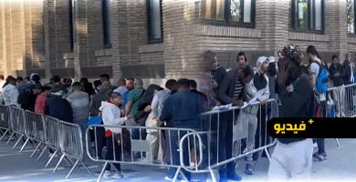 5500-طلب-يوميا.-آلاف-المهاجرين-يبيتون-أمام-البلديات-بإسبانيا-لتسوية-أوضاعهم