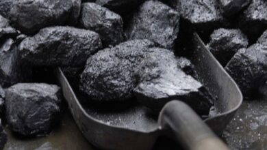 ارتفاع-أسعار-“الفاخر”-في-المغرب-مع-اقتراب-عيد-الأضحى