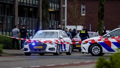 هولندا.-العثور-على-طفلة-تدعى-نور-مقتولة-وشكوك-تطال-والدها-وشريكته