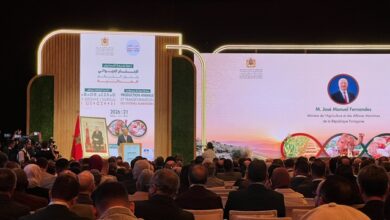 البواري:-محصول-الحبوب-مرشح-لبلوغ-90-مليون-قنطار-خلال-الموسم-الفلاحي-2025-2026