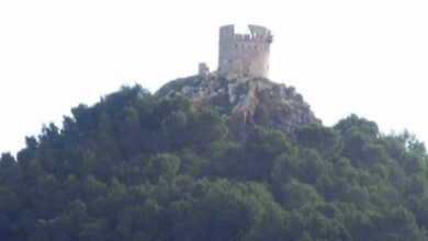 ثازوضا-وطريق-كروكو-على-طاولة-البرلمان.-سؤال-يفتح-ملف-التنمية-بالناظور