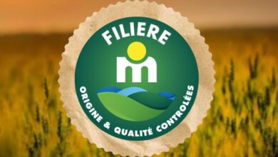 filiere-m-:-مجموعة-مرجان-تعزز-التزامها-بالقطاع-الزراعي-وتشارك-برواق-مميز-بالمعرض-الدولي-للفلاحة-بمكناس