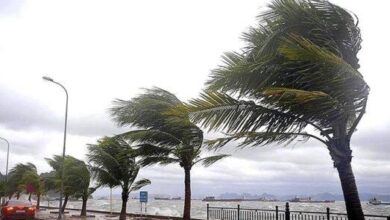 نشرة-إنذارية.-رياح-قوية-وأمطار-رعدية-تشمل-الناظور-والدريوش