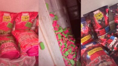 إحباط-محاولة-إدخال-140-ألف-قرص-“إكستازي”-إلى-التراب-الوطني