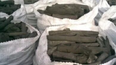 ارتفاع-أسعار-الفحم-قبل-عيد-الأضحى-يثقل-كاهل-الأسر-ويضغط-على-التجار