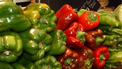 إنذار-أوروبي-“خطير”-بشأن-شحنة-فلفل-مغربية-بسبب-بقايا-مبيد