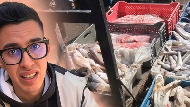 بسبب-التشهير.-إدانة-“مول-الحوت”-بالحبس-والغرامة-ومنعه-من-مواقع-التواصل-لـ5-سنوات