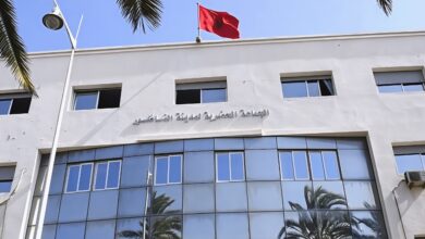 ساكنة-الناظور-تواجه-غزو-البعوض-وتطالب-الجماعة-بالتحرك-العاجل