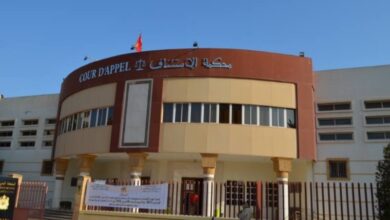 أحكام-ثقيلة-تهز-ملف-“شبكة-الاستيلاء-على-عقارات-الغير”-بالناظور…-والاستئنافية-تشدد-عقوبات-وتخفف-أخرى
