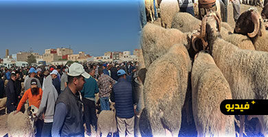سوق-أركمان-للمواشي-يسجل-ركودا-ملحوظا-وسط-شكاوى-من-ارتفاع-الأسعار