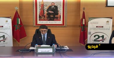 الدريوش-تستعرض-حصيلة-21-سنة-من-مشاريع-المبادرة-الوطنية-للتنمية-البشرية