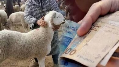 عقوبات-حبسية-وغرامات-صارمة-ضد-المضاربين-في-أسعار-أضاحي-العيد