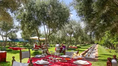 le-bled-ferme…-تجربة-مغربية-فريدة-تعكس-سحر-مراكش-وأصالة-الضيافة-المغربية