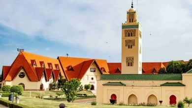 جامعة-الأخوين-تحقق-إنجازا-تاريخيا-بعدد-قياسي-من-العلامات-الكاملة-في-“اختبار-التخصص-الرئيسي”