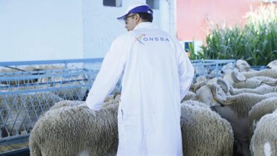 أونسا-:-عيد-الأضحى-مر-في-ظروف-مرضية-على-المستوى-الصحي
