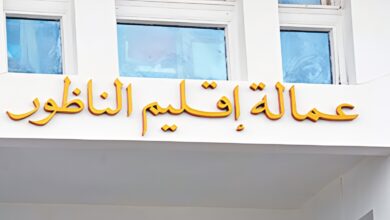 السلطة-الإقليمية-تترأس-اجتماعا-موسعا-بالناظور-لتدارس-تدبير-وتأهيل-شواطئ-الإقليم-خلال-موسم-الاصطياف