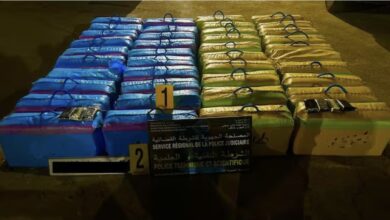 لوحات-مزورة-وشحنة-ضخمة-من-الشيرا.-إسقاط-تاجر-مخدرات-بسوق-الأربعاء-الغرب