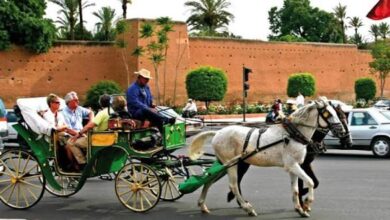 مراكش:-ارتفاع-عدد-ليالي-المبيت-بالمؤسسات-السياحية-المصنفة-ب11-في-المائة-متم-مارس-2026