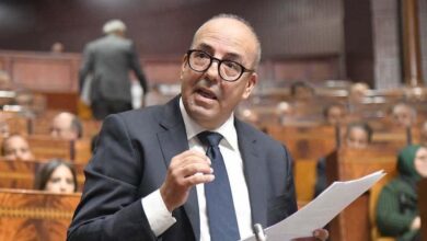 البواري-:-تحقيق-مستويات-جيدة-لإنتاج-الحبوب-تصل-إلى-57-قنطارا-للهكتار-خلال-الموسم-الفلاحي