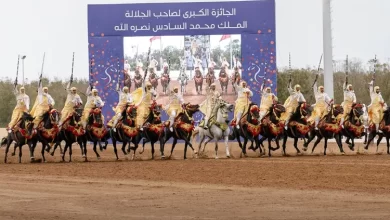 الدورة-السابعة-عشرة-لمعرض-الفرس-للجديدة من-13-إلى-18-أكتوبر-2026 