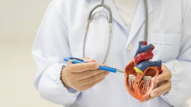 علماء-يطورون-تقنية-مبتكرة-لعلاج-الكسور-وأمراض-القلب-بالخلايا-الجذعية