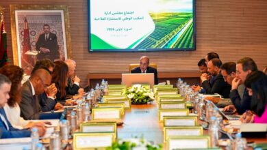 البواري-يترأس-أول-دورة-للمجلس-الإداري-للمكتب-الوطني-للاستشارة-الفلاحية-ويؤكد-على-تعزيز-مواكبة-الفلاحين-ودعم-الابتكار