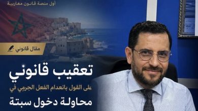 تعقيب-على-الدفع-بانعدام-الفعل-الجرمي-في-محاولة-دخول-سبتة-ومليلية-المحتلتين
