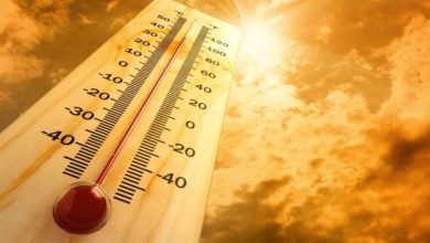 نشرة-إنذارية-تحذر-من-موجة-حر-تضرب-الناظور-والدريوش-تصل-إلى-42-درجة
