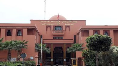 جامعة-القاضي-عياض-تتصدر-الجامعات-المغربية-في-تصنيف-webometrics-لسنة-2026