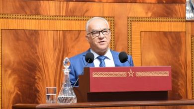 البرلماني-مضيان-يسائل-وزير-الداخلية-حول-تنامي-ظاهرة-الكلاب-الضالة-وتهديدها-لسلامة-المواطنين