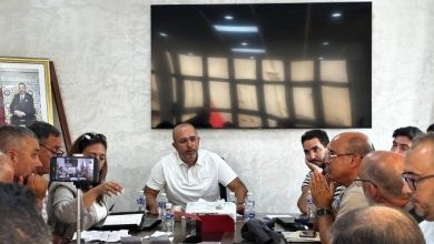 الحسيمة.-نجاح-تجارب-الشباك-المعززة-في-مواجهة-هجمات-«النيكرو»-يمهد-لتعميمها-على-57-مركباً