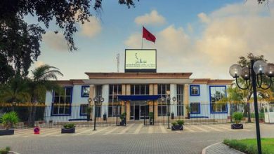 شعبة-«علوم-الإعلام-والاتصال»-بجامعة-ابن-طفيل.-مصادقة-منذ-2025-وغياب-متواصل-عن-العرض-الجامعي