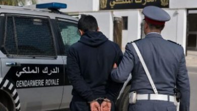 جريمة-قتل-مروعة-تهز-جماعة-الجابرية-بإقليم-سيدي-بنور.-ضحيتها-امرأة-في-مقتبل-العمر