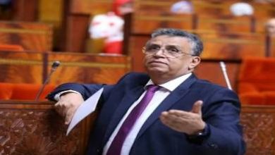 «الطلاق-رجعي».-أول-تعليق-لوهبي-بعد-نشر-قانون-تنظيم-مهنة-المحاماة