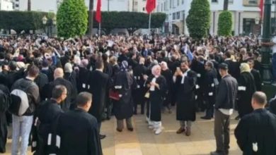 المحامون-الشباب-بالناظور-والدريوش-يرفضون-“فرض-الأمر-الواقع”-ويواصلون-التوقف-عن-العمل