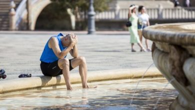 ألمانيا-تسجل-حصيلة-قياسية-لوفيات-موجات-الحر-تجاوزت-16-ألف-حالة