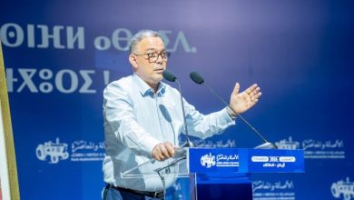 لقجع-يدافع-عن-مشروع-“البام”-إلى-2031-ويضع-350-ملياراً-على-طاولة-التنفيذ