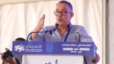 لقجع-يكشف-من-تنغير-حزمة-“البام”-لدعم-القدرة-الشرائية-للمغاربة