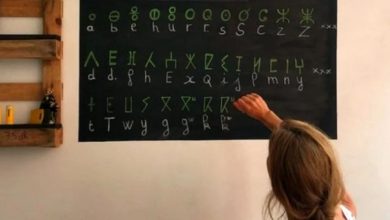 التربية-الوطنية-تحدث-مصلحة-لدعم-تدريس-الأمازيغية-لأبناء-الجالية-بالخارج