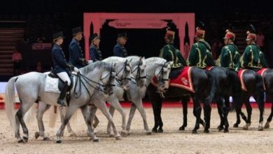 معرض-الفرس-للجديدة يحتفي-بتميز-تربية-الخيل-من-خلال-أربع-مباريات كبرى-مخصصة-للسلالات-الأصيلة
