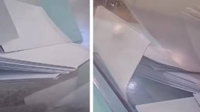 استئناف-طنجة-تشرع-في-محاكمة-المتورطين-في-فضيحة-الأوراق-الانتخابية