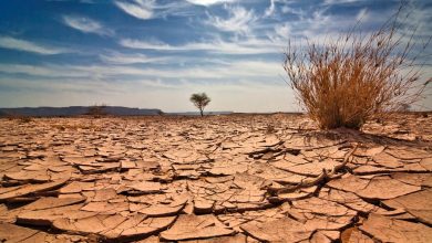 عبر-الأقمار-الصناعية.-مشروع-أوروبي-يتنبأ-بالتصحر-قبل-وقوعه-في-المغرب
