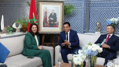 المنصوري-تواصل-مشاورات-تشكيل-الحكومة-بلقاء-قيادة-الاتحاد-الدستوري