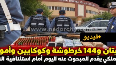 بعد-حجز-بندقيتي-صيد-وذخيرة-ومخدرات.-توقيف-مبحوث-عنه-وتقديمه-أمام-قاضي-التحقيق-بالناظور
