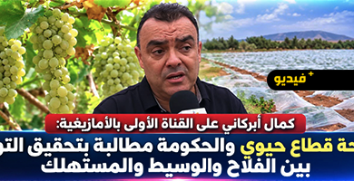 كمال-أبركاني-يبرز-أهمية-الفلاحة-ويدعو-إلى-مراعاة-مصالح-الفلاح-والمستهلك