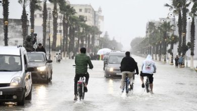 الأرصاد-تتوقع-زخات-مطرية-رعدية-بعدد-من-مناطق-المملكة-غدا-الجمعة